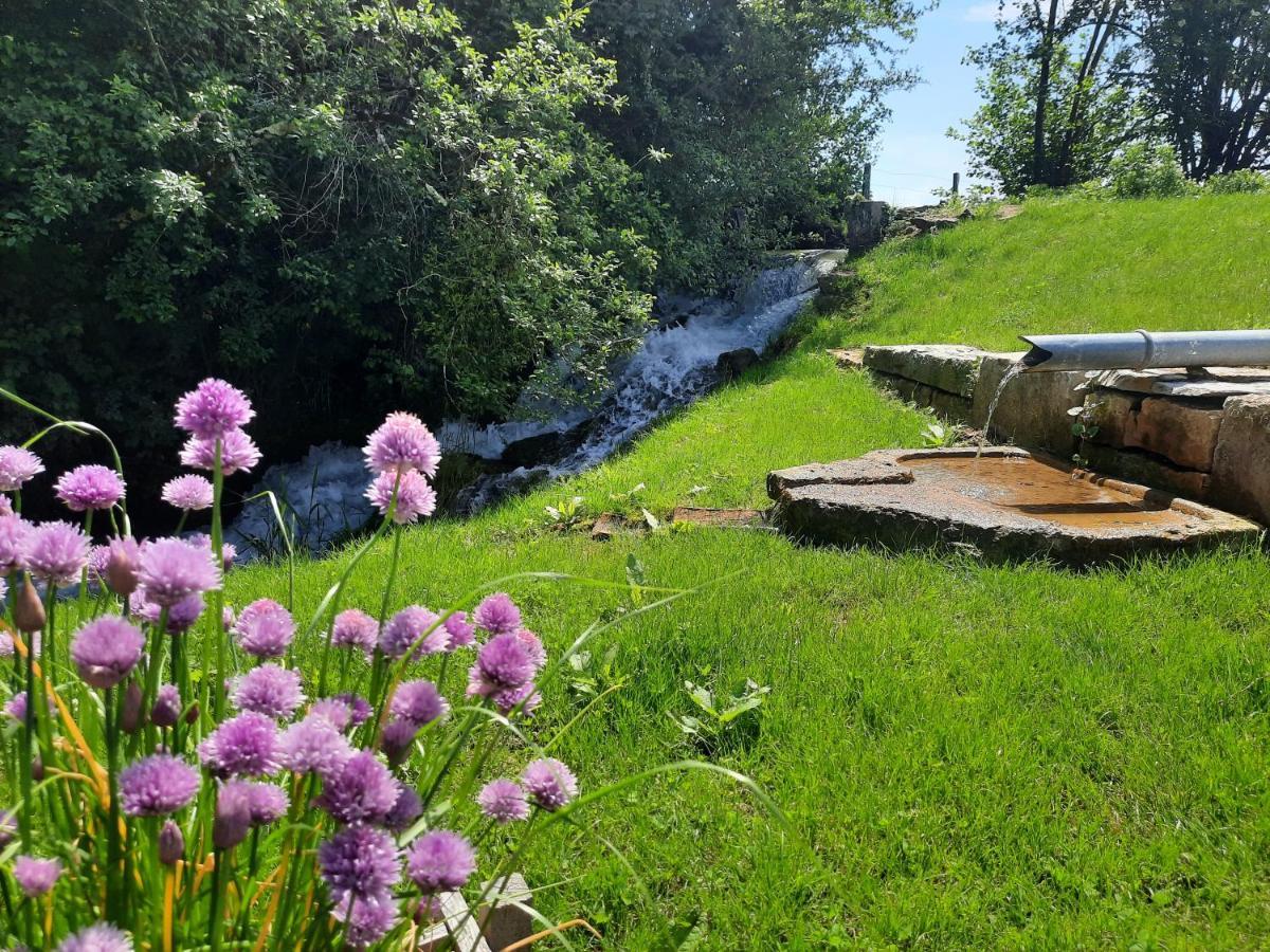 Domaine Du Moulin De Jeanne