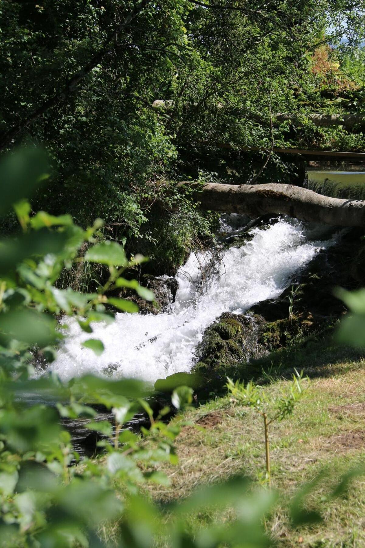Domaine Du Moulin De Jeanne *